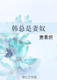 韩总是妻奴
